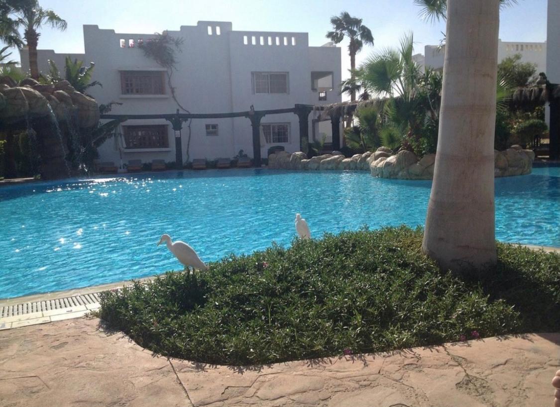 Delta Sharm Holiday Екстер'єр фото